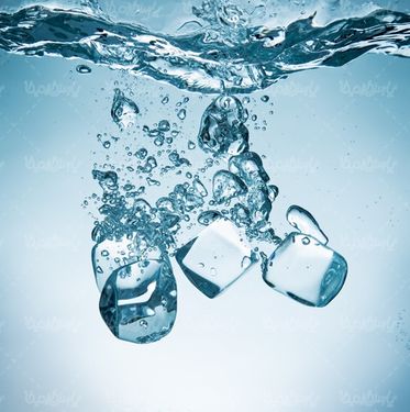 یخ قالبی