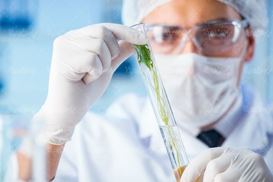 Laboratory