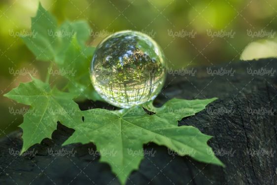 گوی شیشه ای