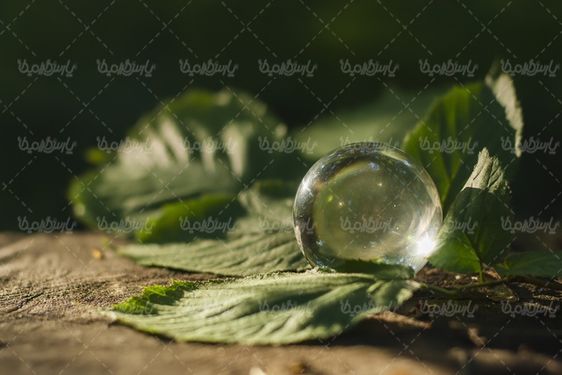 گوی شیشه ای