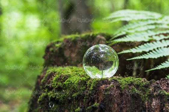 glass ball