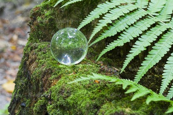 glass ball