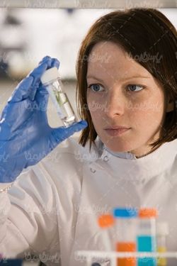 Laboratory