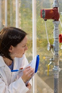 research fellow