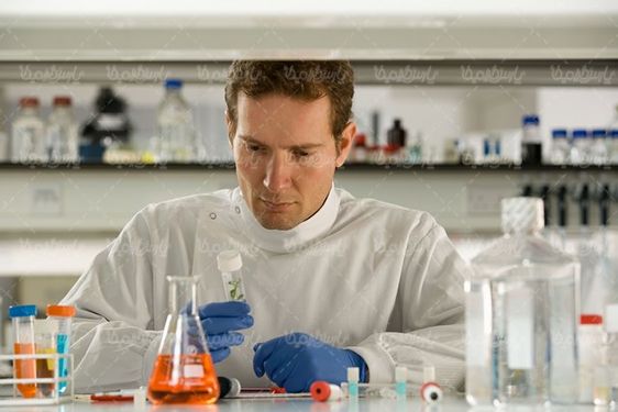 research fellow