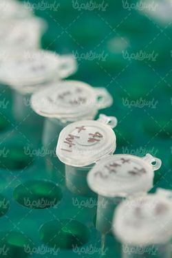 شیشه آزمایش