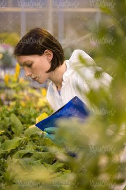 researcher