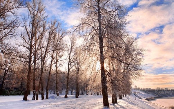 winter