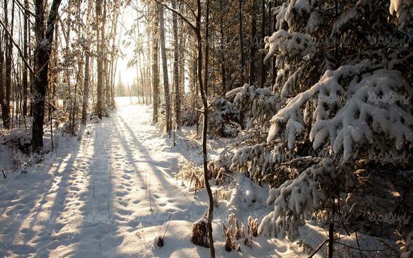 winter