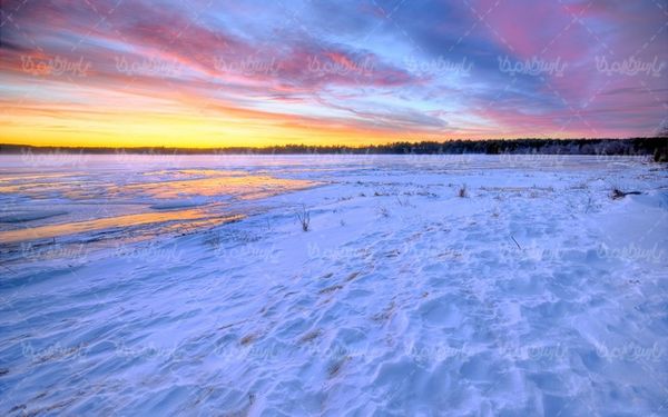 winter
