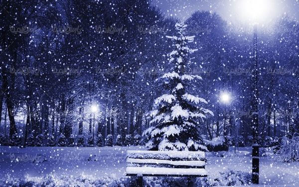 winter