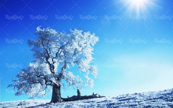 Winter season