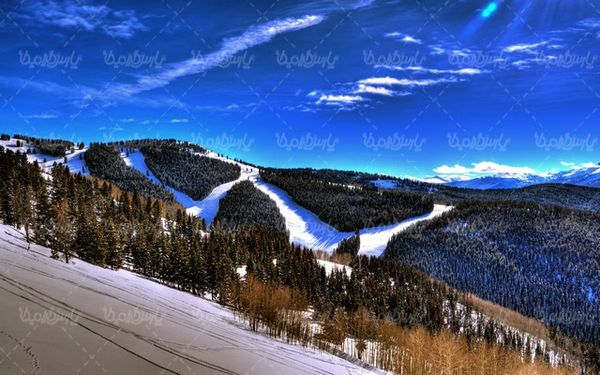 Winter landscape