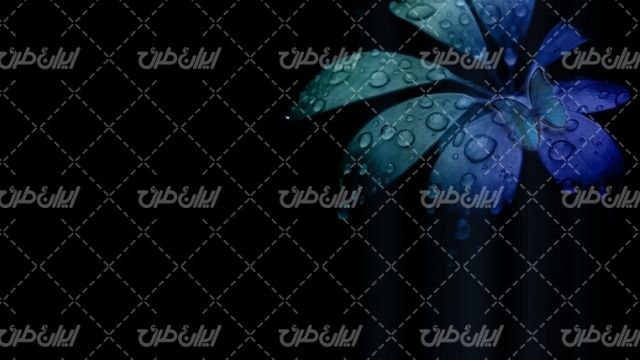 والپیپر