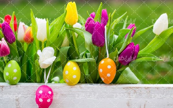 تخم مرغ عید نوروز