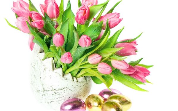 Nowruz Eggs