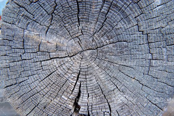 texture