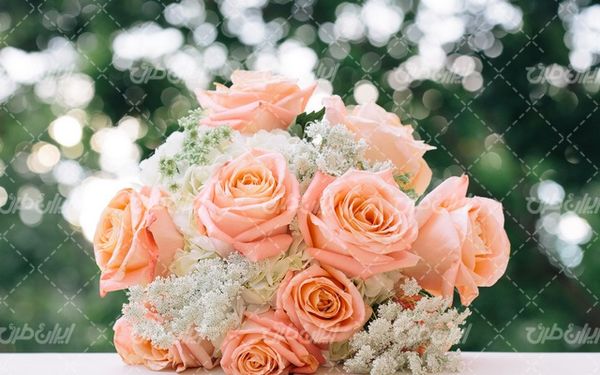 beautiful flower