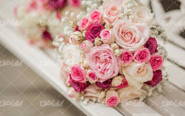beautiful flower