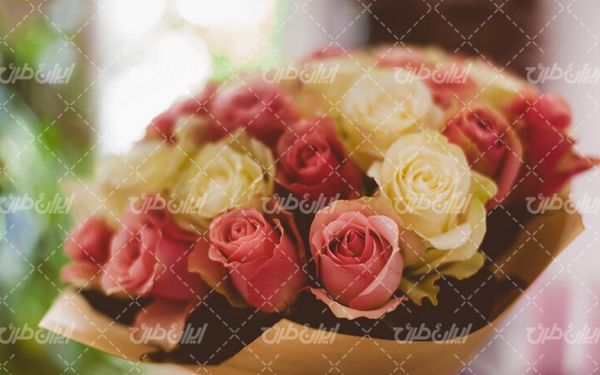 natural flower