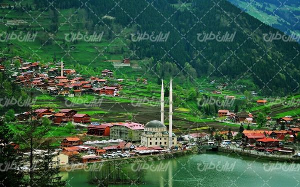 منظره زیبا