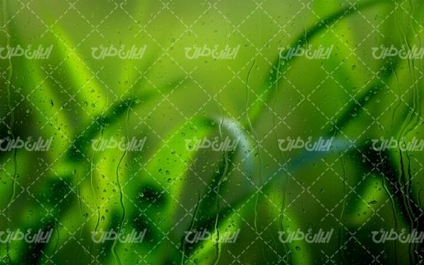 پس زمینه