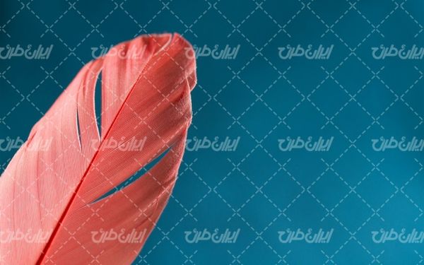 پر نوشتن