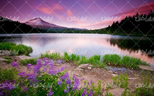 Lake