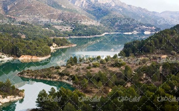 تصویر با کیفیت دریاچه زیبا به همراه  پوشوش گیاهی و کوه