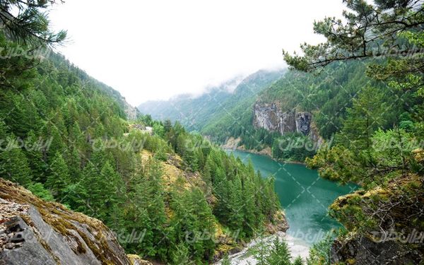 تصویر با کیفیت رودخانه جنگلی به همراه درختان سوزنی و آب