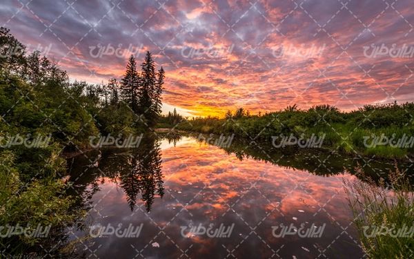 تصویر با کیفیت غروب زیبای آفتاب به همراه دریاچه و درخت