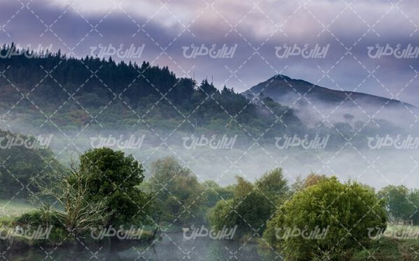 تصویر با کیفیت هوای مه آلود به همراه درخت و آسمان ابری