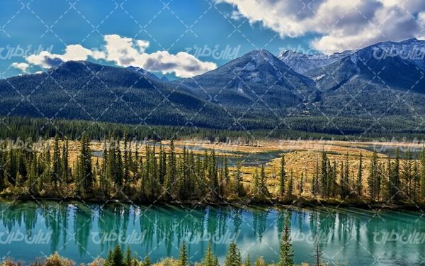تصویر با کیفیت کوه پوشیده از برف به همراه  جنگل های انبوه