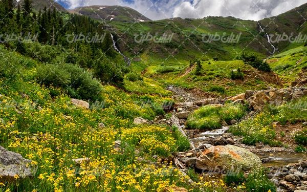 تصویر با کیفیت منظره زیبای فصل بهار و آبهای جاری از کوه