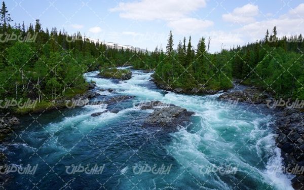 تصویر با کیفیت منظره رودخانه خروشان به همراه جنگل