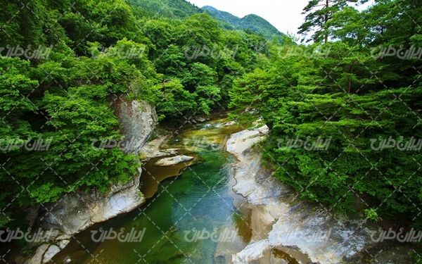 تصویر با کیفیت منظره زیبای رودخانه به همراه جنگل زیبا