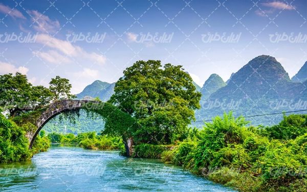تصویر با کیفیت منظره زیبای رودخانه به همراه درخت و پل