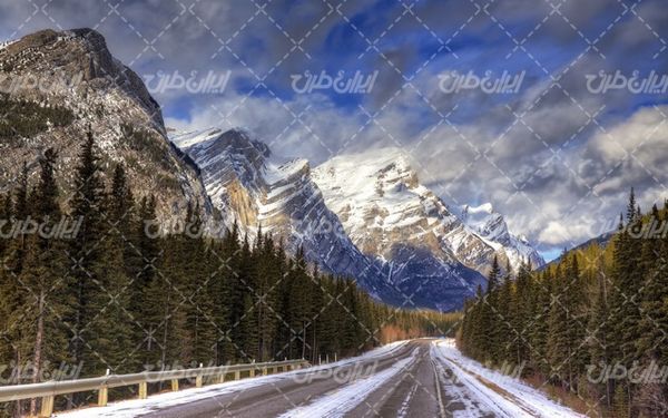 تصویر با کیفیت منظره زیبای جاده جنگلی همراه با  فصل زمستان