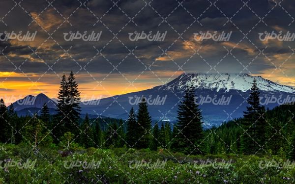 تصویر با کیفیت منظره زیبای قله برفی همراه با منظره بهاری