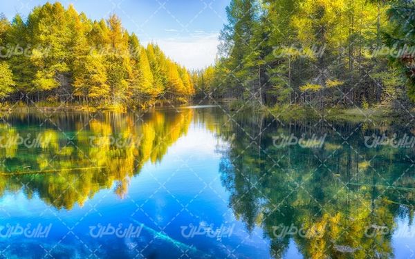 تصویر با کیفیت منظره زیبای دریاچه همراه با درخت و فصل پاییز