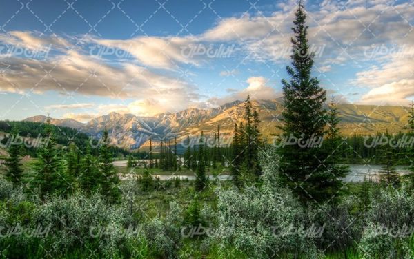 تصویر با کیفیت منظره زیبای رودخانه همراه با درخت و آسمان آبی