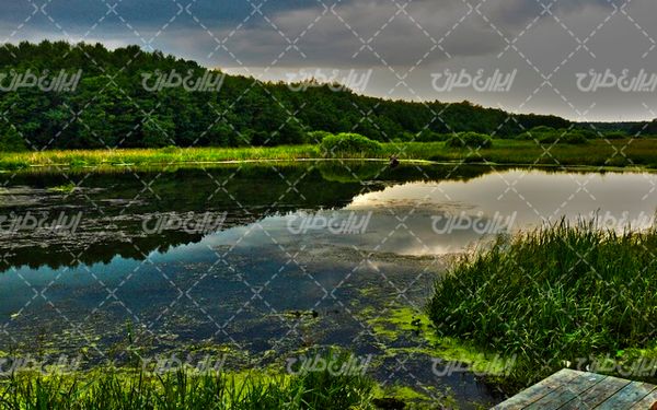 تصویر با کیفیت منظره زیبای دریاچه همراه با جنگل انبوه