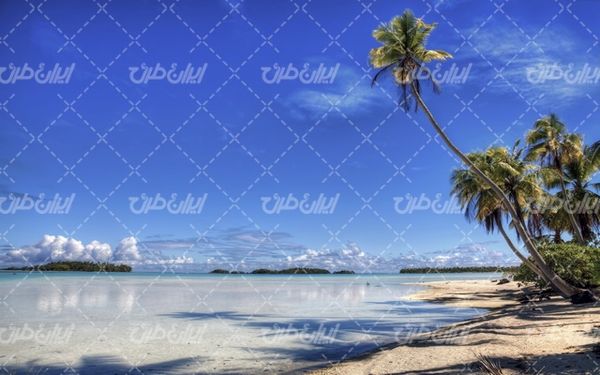 تصویر با کیفیت منظره دریاچه همراه با آسمان آبی و درخت