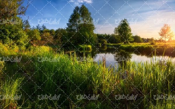 تصویر با کیفیت منظره آسمان آبی همراه با دریاچه و درخت