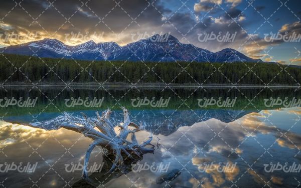 تصویر با کیفیت منظره کوه همراه با آسمان ابری و جنگل