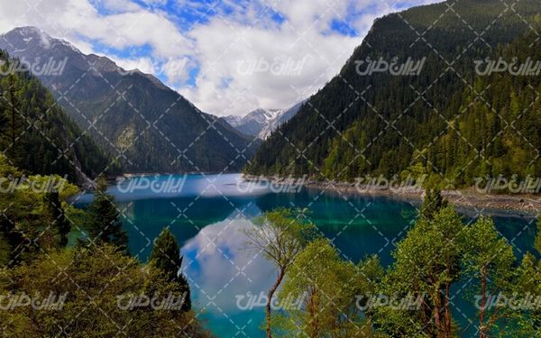 تصویر با کیفیت منظره رودخانه همراه با آسمان آبی و جنگل
