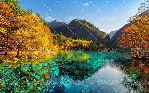 تصویر با کیفیت منظره فصل پاییز همراه با رودخانه و درخت پاییزی