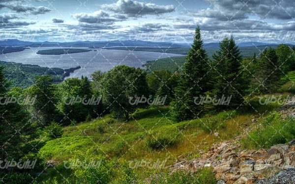تصویر با کیفیت منظره دریاچه همراه با درخت و جنگل
