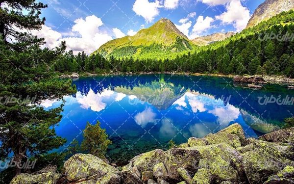 تصویر با کیفیت منظره دریاچه همراه با درخت و جنگل