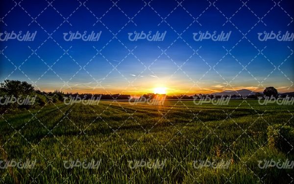 تصویر با کیفیت منظره مزرعه همراه با غروب آفتاب و کشاورزی